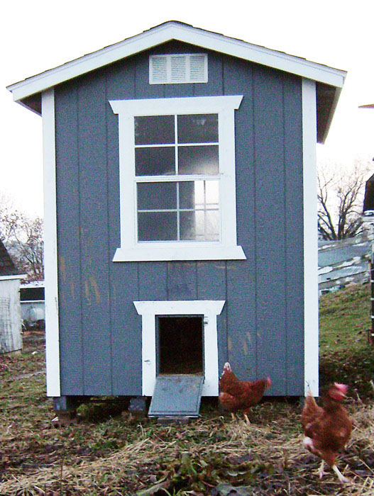 Chicken Coops Miller Storage Barns